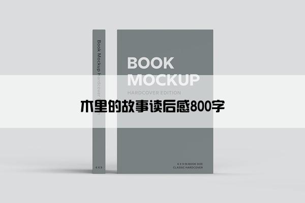 木里的故事读后感800字