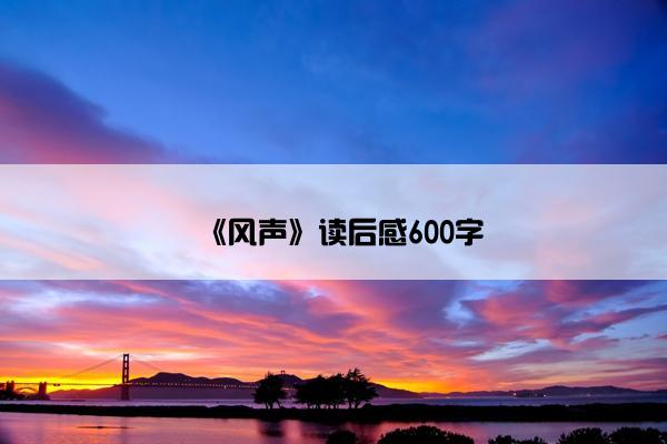 《风声》读后感600字