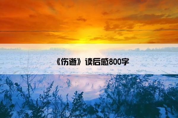 《伤逝》读后感800字
