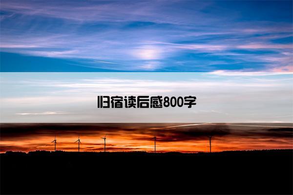归宿读后感800字