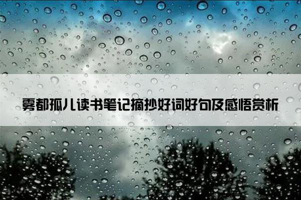 雾都孤儿读书笔记摘抄好词好句及感悟赏析
