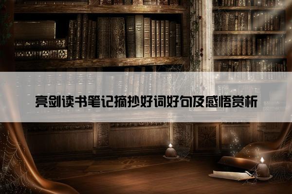亮剑读书笔记摘抄好词好句及感悟赏析