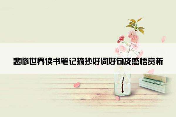 悲惨世界读书笔记摘抄好词好句及感悟赏析