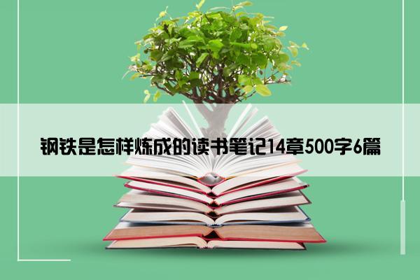 钢铁是怎样炼成的读书笔记14章500字6篇