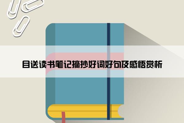 目送读书笔记摘抄好词好句及感悟赏析