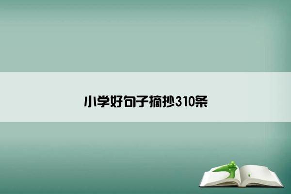 小学好句子摘抄310条