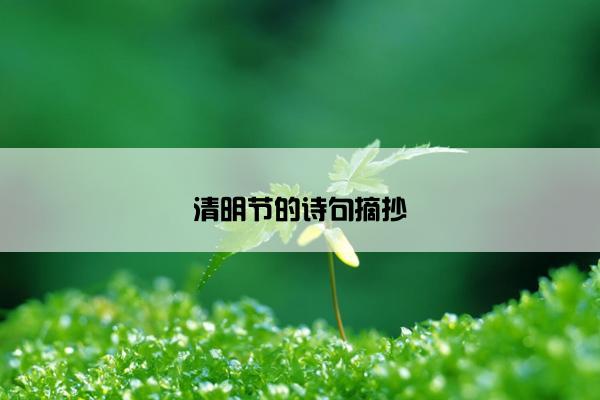 清明节的诗句摘抄