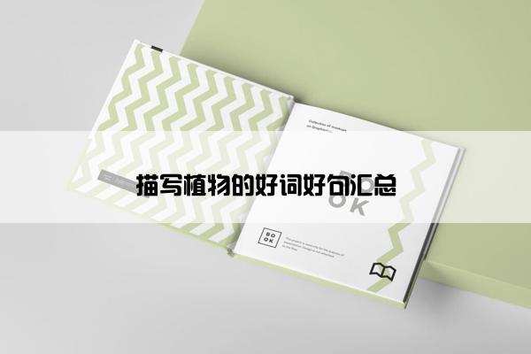 描写植物的好词好句汇总