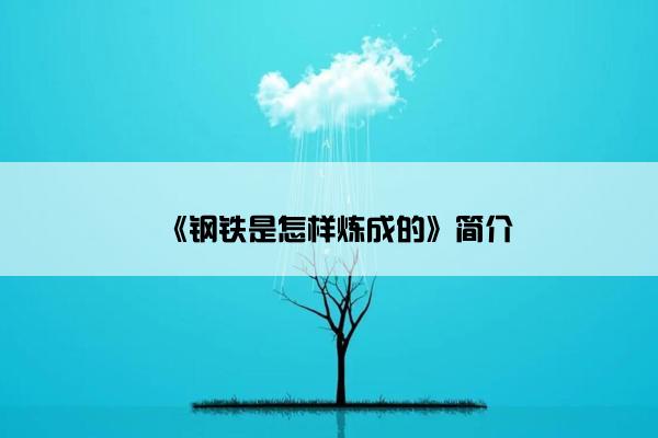 《钢铁是怎样炼成的》简介