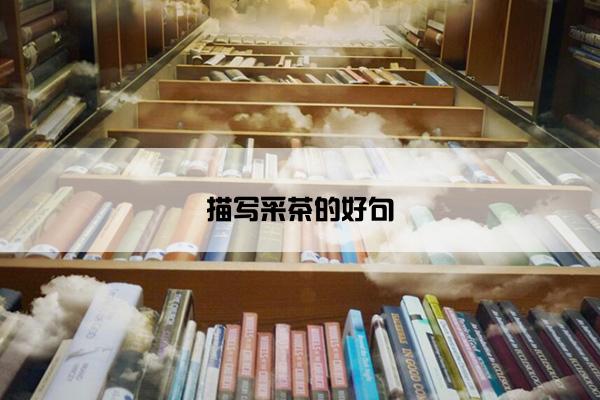 描写采茶的好句