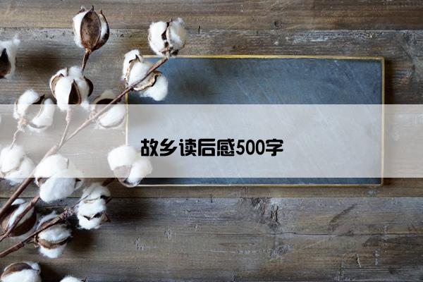 故乡读后感500字