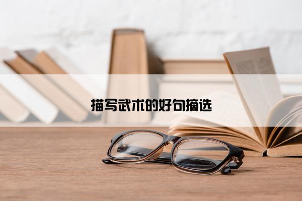描写武术的好句摘选