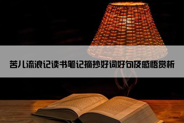 苦儿流浪记读书笔记摘抄好词好句及感悟赏析