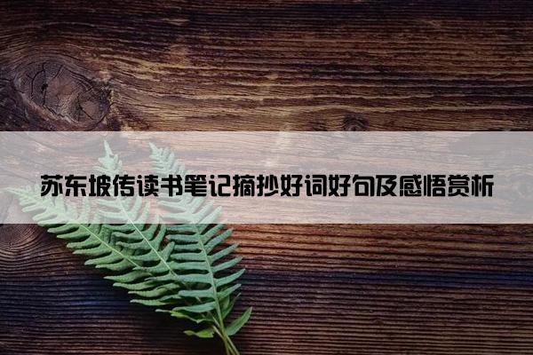 苏东坡传读书笔记摘抄好词好句及感悟赏析