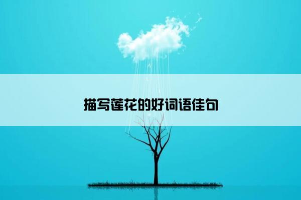 描写莲花的好词语佳句