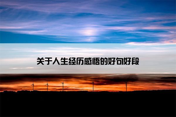 关于人生经历感悟的好句好段