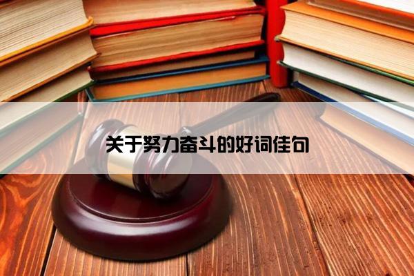 关于努力奋斗的好词佳句