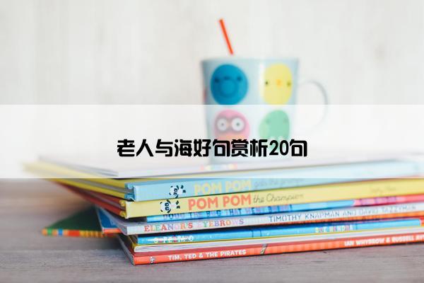 老人与海好句赏析20句