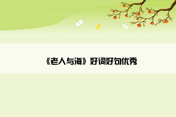 《老人与海》好词好句优秀