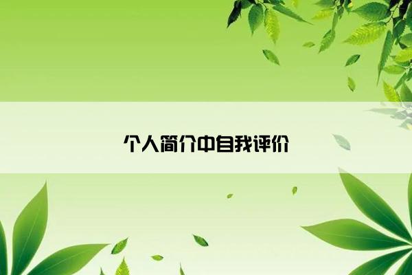 个人简介中自我评价