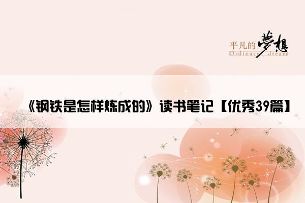 《钢铁是怎样炼成的》读书笔记【优秀39篇】