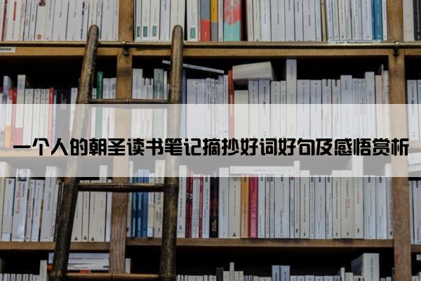 一个人的朝圣读书笔记摘抄好词好句及感悟赏析
