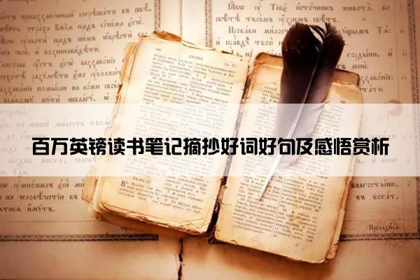 百万英镑读书笔记摘抄好词好句及感悟赏析