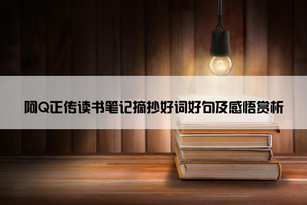 阿Q正传读书笔记摘抄好词好句及感悟赏析