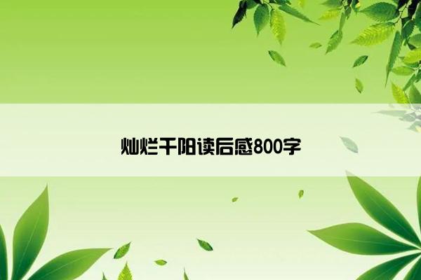 灿烂千阳读后感800字