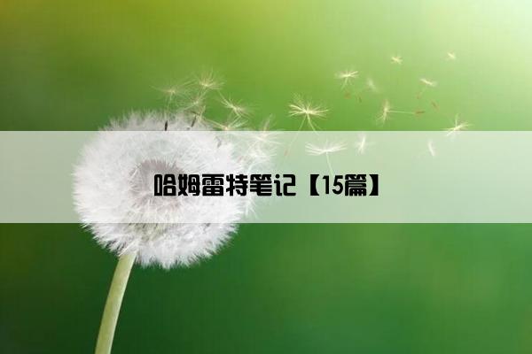 哈姆雷特笔记【15篇】