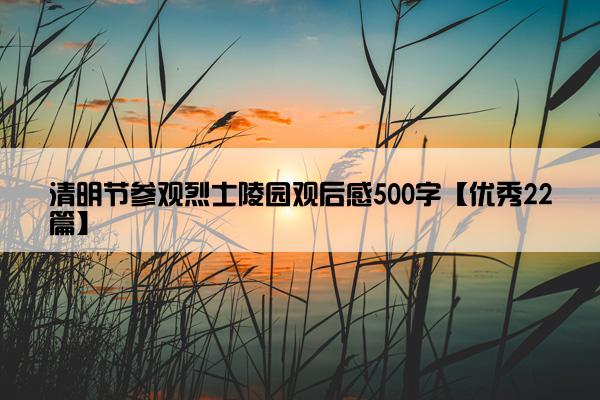 清明节参观烈士陵园观后感500字【优秀22篇】