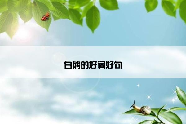 白鹅的好词好句