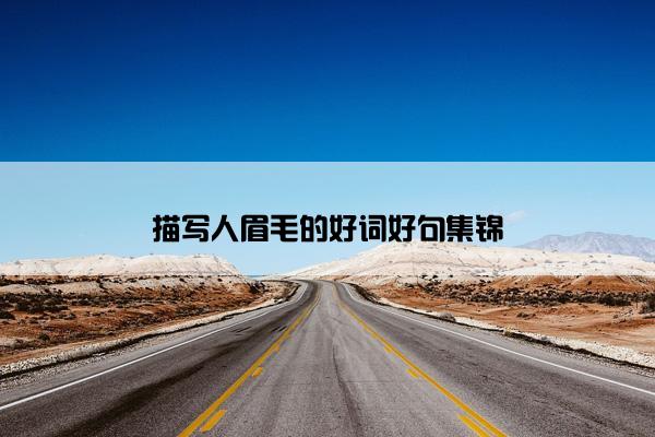 描写人眉毛的好词好句集锦