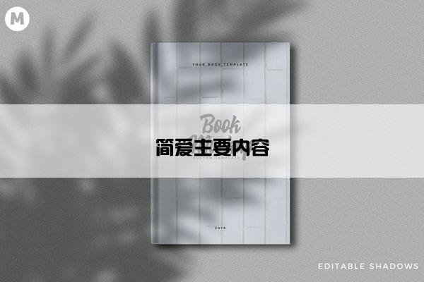 简爱主要内容