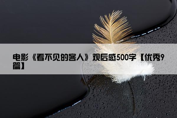 电影《看不见的客人》观后感500字【优秀9篇】