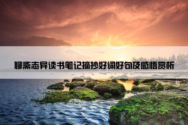 聊斋志异读书笔记摘抄好词好句及感悟赏析