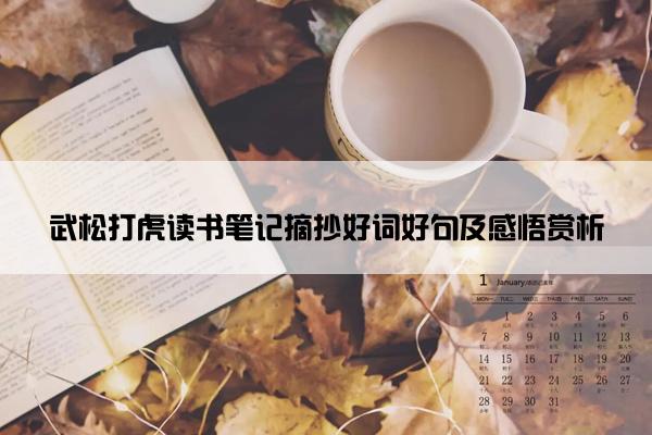 武松打虎读书笔记摘抄好词好句及感悟赏析