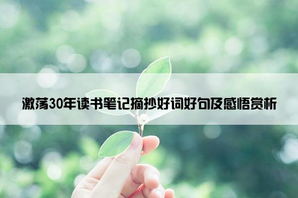 激荡30年读书笔记摘抄好词好句及感悟赏析
