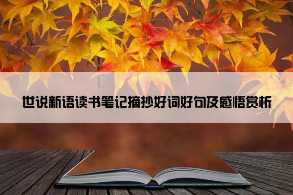 世说新语读书笔记摘抄好词好句及感悟赏析