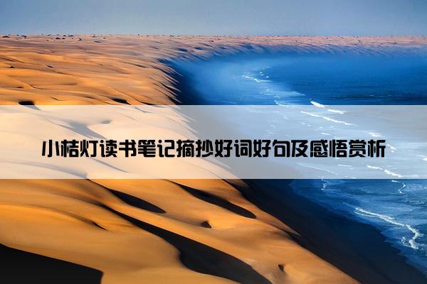 小桔灯读书笔记摘抄好词好句及感悟赏析