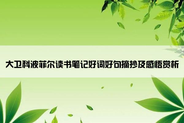 大卫科波菲尔读书笔记好词好句摘抄及感悟赏析