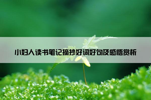 小妇人读书笔记摘抄好词好句及感悟赏析