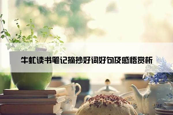 牛虻读书笔记摘抄好词好句及感悟赏析