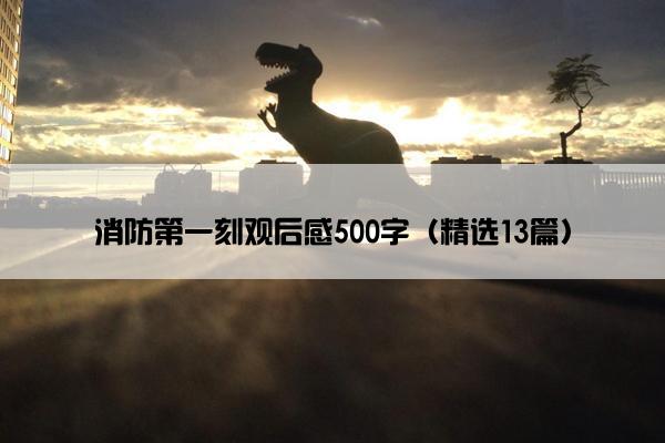 消防第一刻观后感500字（精选13篇）