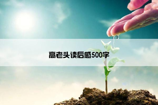 高老头读后感500字