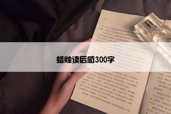 蜡烛读后感300字