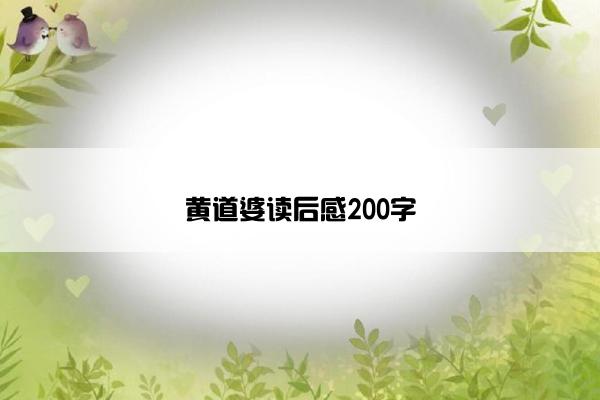 黄道婆读后感200字