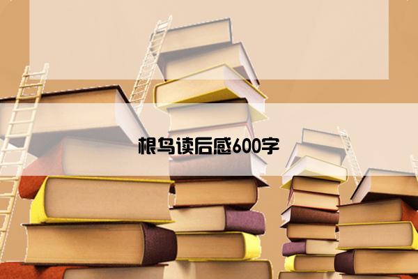 根鸟读后感600字
