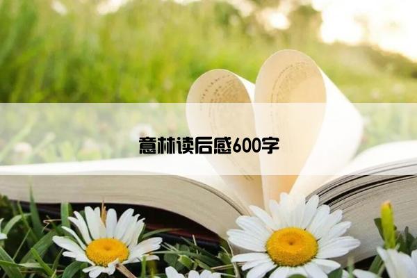 意林读后感600字