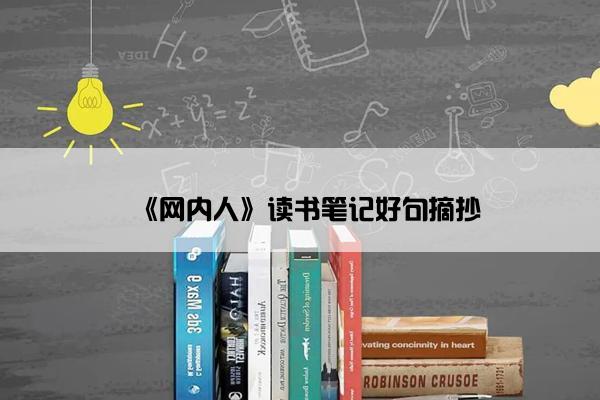 《网内人》读书笔记好句摘抄